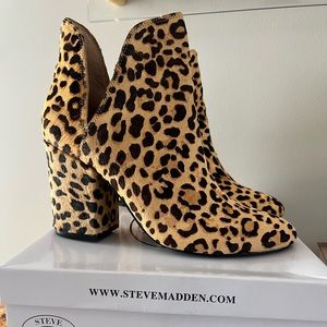 Steve Madden Rockstar Leopard Booties